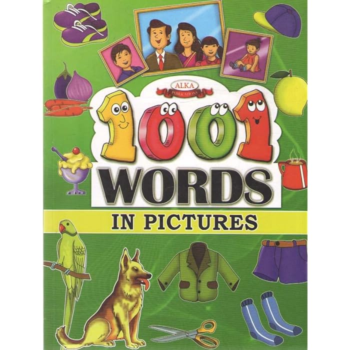 1001 Words In Pictures