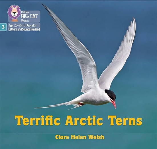 Big Cat Phonics For Little Wandle Letters And Sounds Revised — Terrific Arctic Terns: Phase 3 Set 2