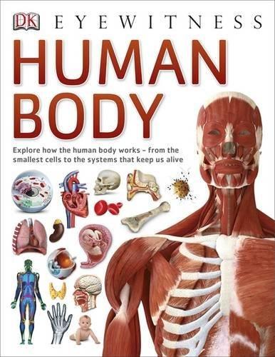 Dk Eyewitness: Human Body