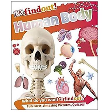 Dk:findout!:human Body