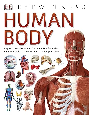 Human Body (dk Eyewitness) [paperback] Dk [paperback] Dk