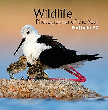Wildlife Photographer Of The Year