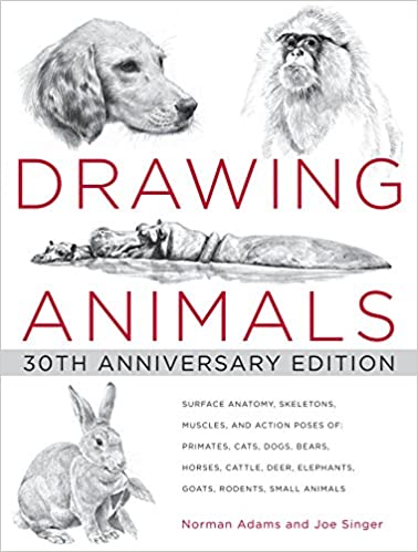 Drawing Animals (bwd)