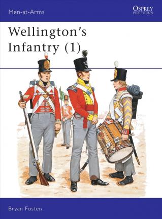 Wellingtons Infantry (1)