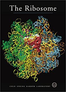 Ribosome