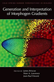 Generation & Interpretation Of Morphogen Gradients