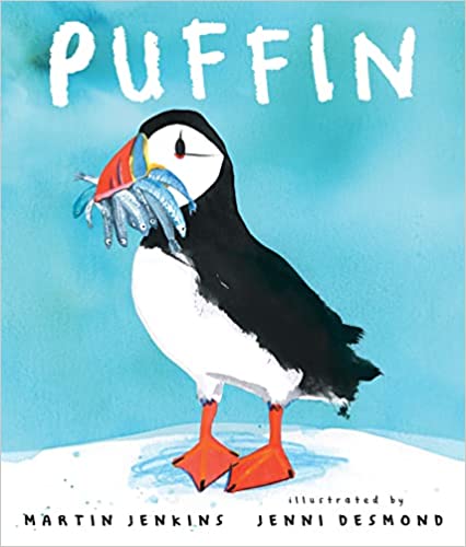 Puffin