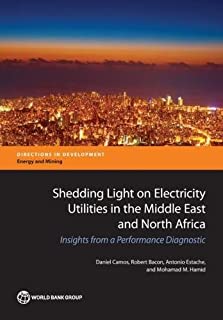 Shedding Light On Electricity Utilities In The Middle East..