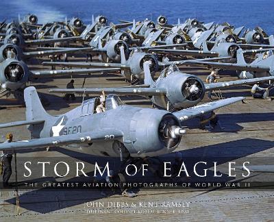 Storm Of Eagles