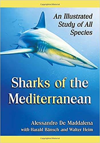 Sharks Of The Mediterranean