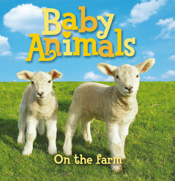 Mirror Mirror: Farm Animals