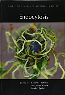 Endocytosis