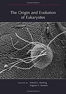 Origin And Evolution Of Eukaryotes