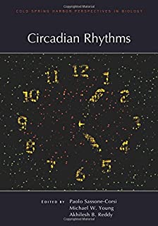Circadian Rhythms