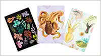 Art Of Nature Under The Sea Sewn Notebook Collection Set Of 3