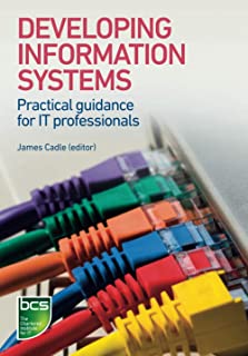 Developing Information Systems