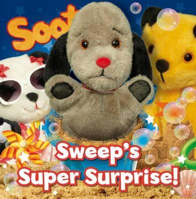 Sooty's Puppet Books: Sweep's Super Surprise