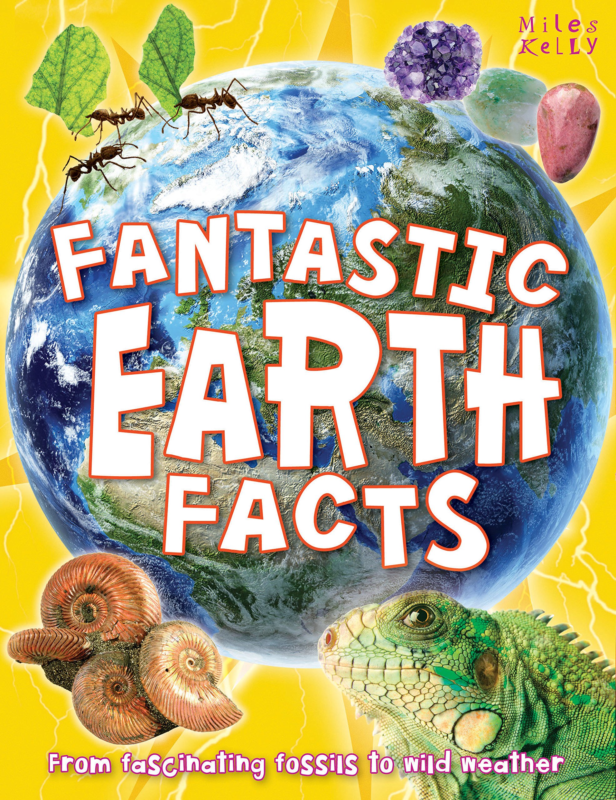 Mk:fantastic Earth Facts (bwd)