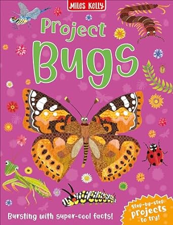 Project Bugs