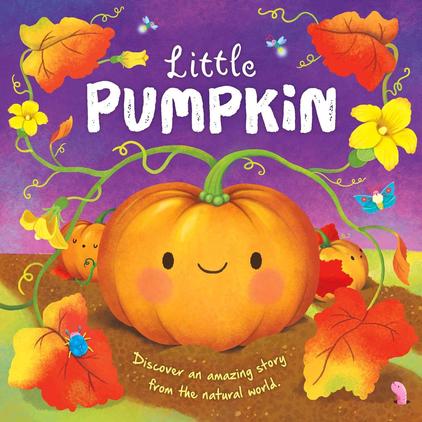 Little Pumpkin: Padded Board Book