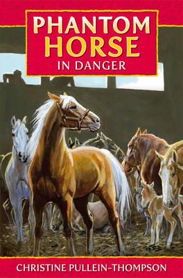 Phantom Horse In Danger