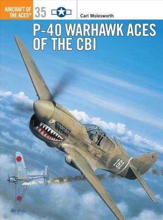 P-40 Warhawk Aces Of The Cbi