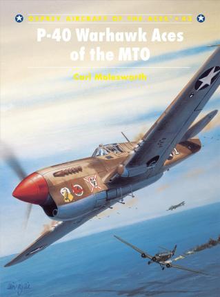 P-40 Warhawk Aces Of The Mto