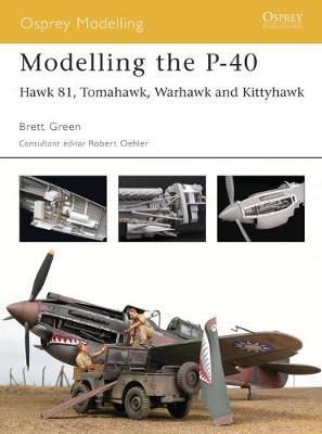 Modelling The P-40