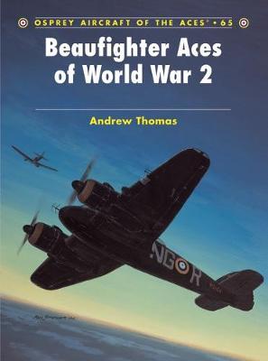 Beaufighter Aces Of World War 2