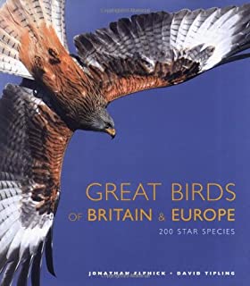 Great Birds Of Britain & Europe
