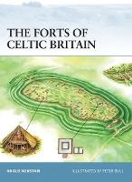 The Forts Of Celtic Britain