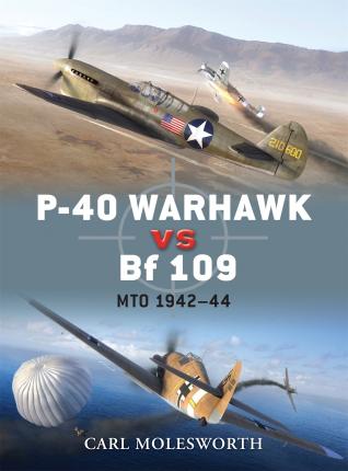 P-40 Warhawk Vs Bf 109