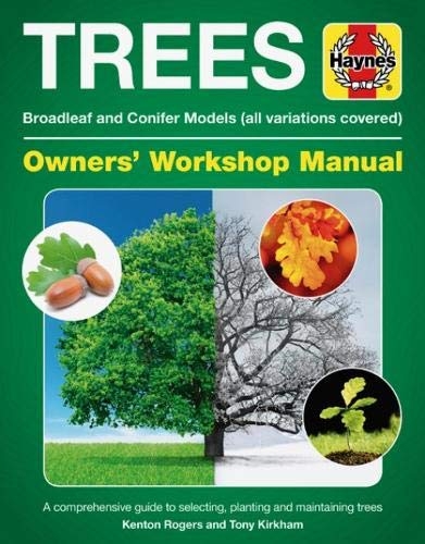 Haynes Tree Manual Owners Workshop Manual