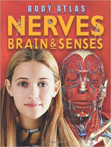 Body Atlas:nerves, Brain & Senses (bwd)