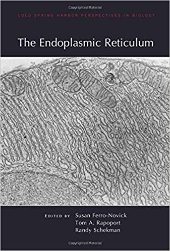 The Endoplasmic Reticulum