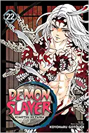 Demon Slayer: Kimetsu No Yaiba, Vol. 22 (volume 22)