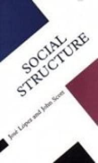 Concepts In The Social Sciences: Social Structure