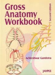 (old)gross Anatomy Workbook