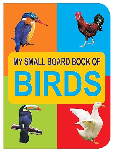 Birds Small Board Book For Children Age 0 - 2 Years- 12 Pages Board Book