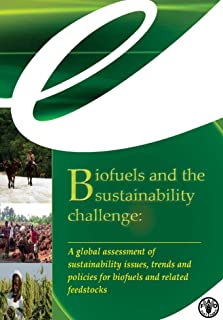 Biofuels And The Sustainability Challenge