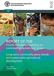 Fourth Ministerial Meeting On Commodity Markets And Prices