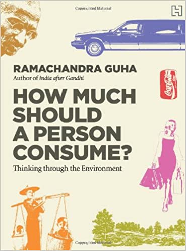 How Much Should A Person Consume?: Thinking Through The Environment