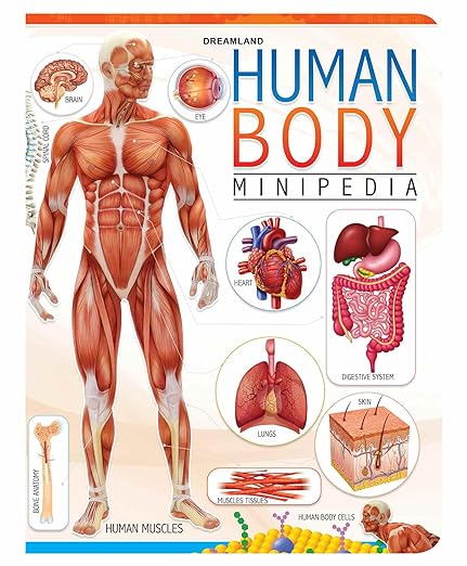 Human Body Minipedia For Kids Age 5-15 Years