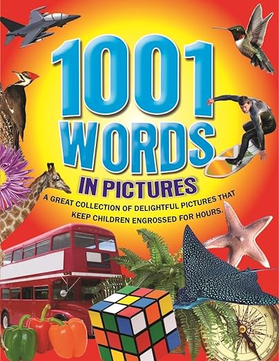 1001 Words In Pictures