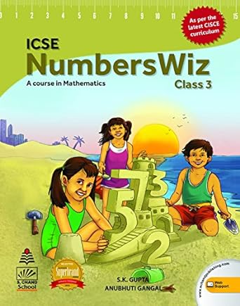 Icse Numberswiz Class 3