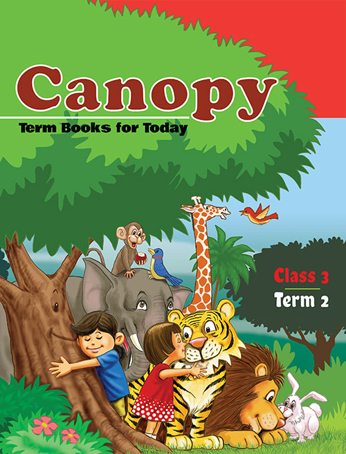 Canopy: Class 3 Term 2