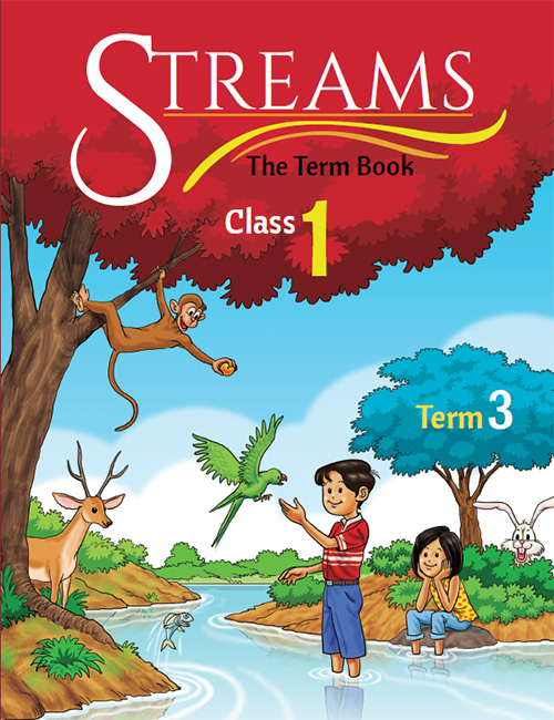 Streams: Class 1 Term 3