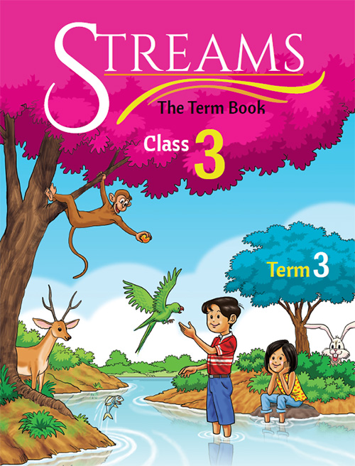 Streams: Class 3 Term 3