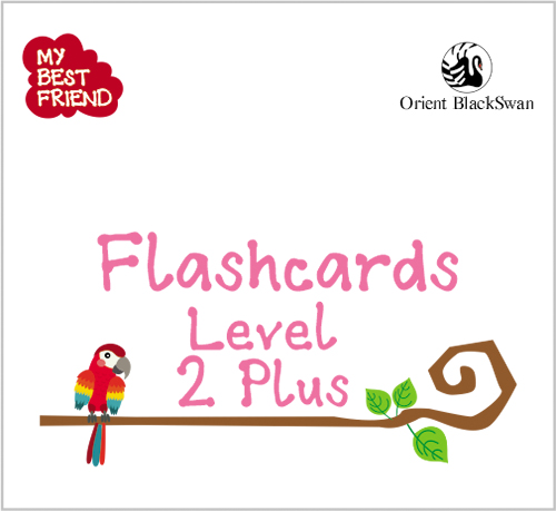 Flashcards Level 2 Plus