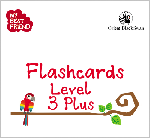 Flashcards Level 3 Plus